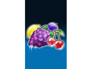 Super Wild Fruits — Spinomenal